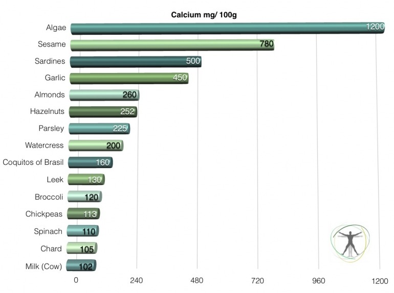 facts about calcium